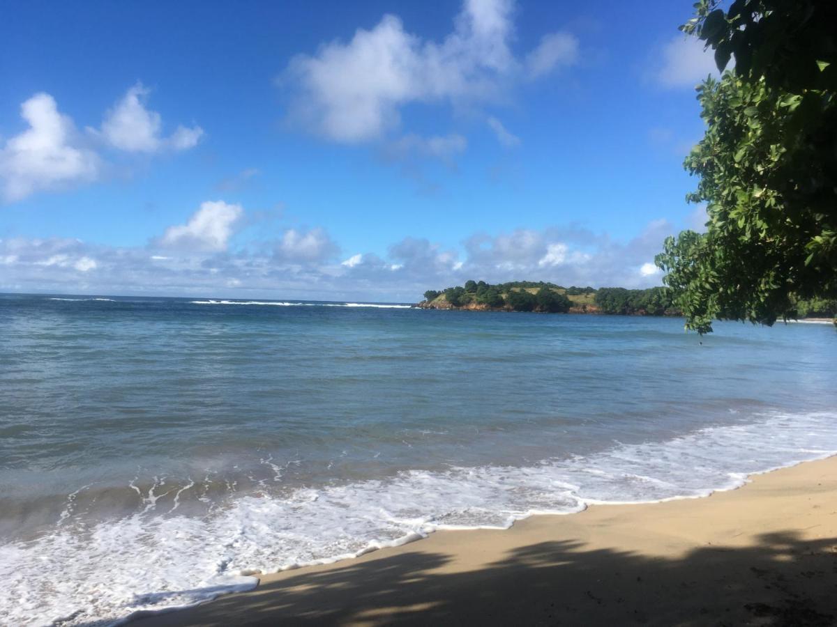 Studio Ana Martinique لا ترينيت المظهر الخارجي الصورة